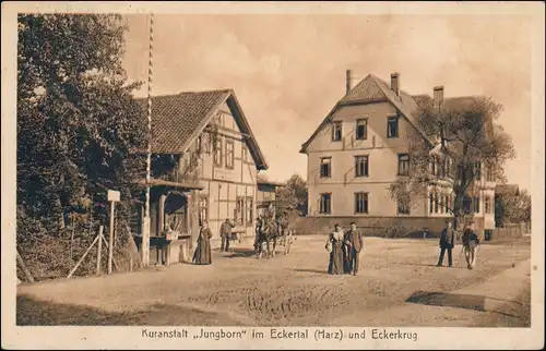 Ansichtskarte Eckertal-Bad Harzburg Kuranstalt Jungborn Eckerburg 1924