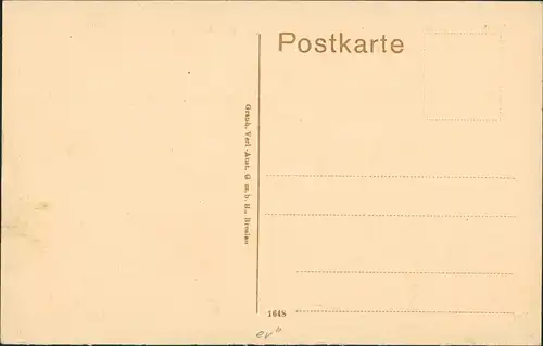 Ansichtskarte Aschersleben Städt. Krankenhaus 1916