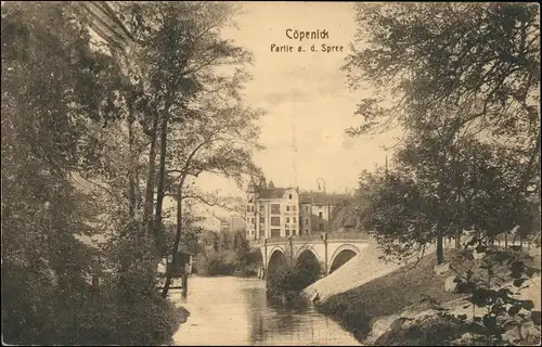 Ansichtskarte Köpenick-Berlin Spreepartie gel Feldpost 1917