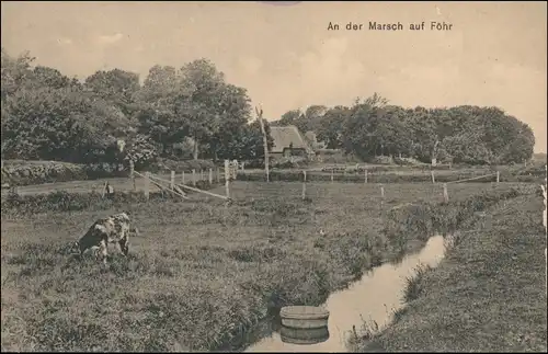 Ansichtskarte Wyk (Föhr) An der Marsch auf Föhr 1915