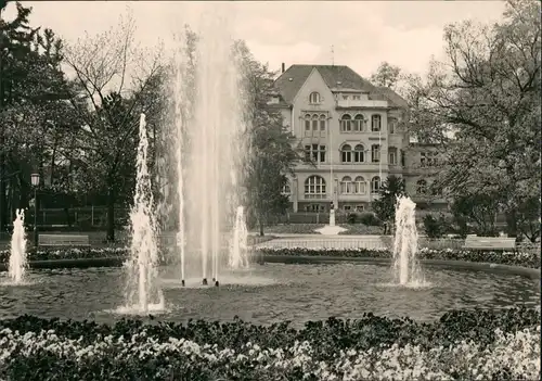 Freiberg (Sachsen) Park mit Haus der Jungen Pioniere "Fritz Weineck" DDR AK 1976