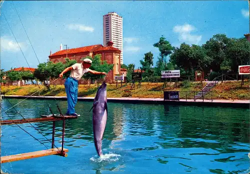 Cesenatico Aquarium con delfino Aquarium dauphin Delfin-Show 1971