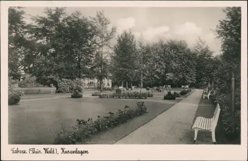 Tabarz/Thüringer Wald Kurpark, Kuranlage, Park gepflegt 1952   gelaufen