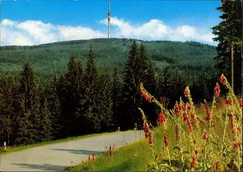 Ansichtskarte Bischofsgrüner Forst Ochsenkopf (Fichtelgebirge) Fernsicht 1979