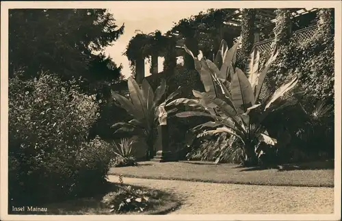 Ansichtskarte Konstanz Insel Mainau Palmen gel Sonderstempel Meersburg 1939