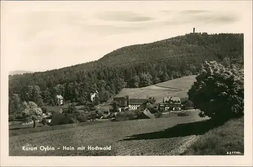 Ansichtskarte Hain-Oybin Stadt Hochwald 1955