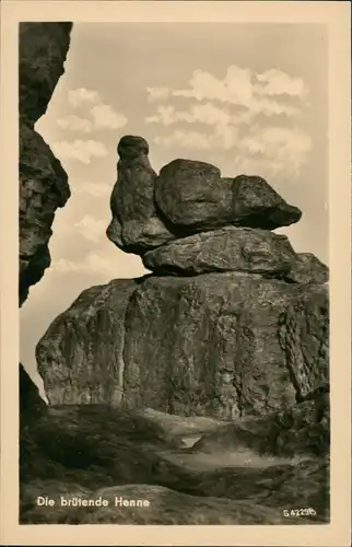 Ansichtskarte Oybin Töpfer (Berg) brütende Henne 1956