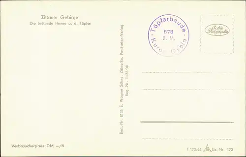 Ansichtskarte Oybin Töpfer (Berg) brütende Henne 1956