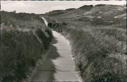 Ansichtskarte List auf Sylt Wanderweg durch die Nordsee Dünen 1960