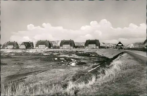 Ansichtskarte List auf Sylt Panorama mit Deich-Anlage und Wohnhäusern 1960