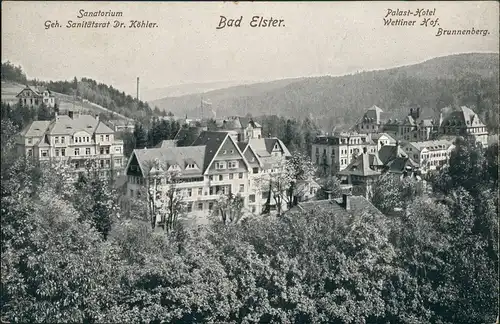 Ansichtskarte Bad Elster Sanatorium, Palast Hotel 1909