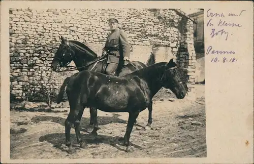 Foto Pannes Militaria 1. WK Soldat mit 2 Pferden 1918 Privatfoto