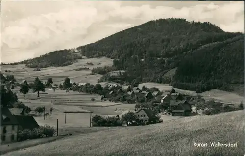 Ansichtskarte Waltersdorf-Großschönau (Sachsen) Stadtblick 1956