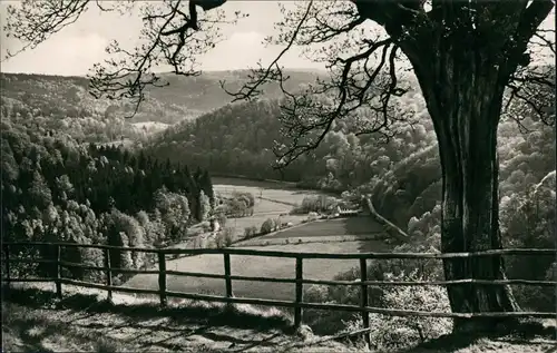 Ansichtskarte .Sachsen-Anhalt Blick vom Meiseberg ins Selketal 1962