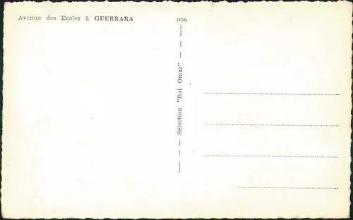 Postcard El Guerrara القرارة‎ Avenue des Ecoles 1963