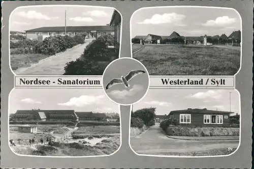 Ansichtskarte Westerland-Gemeinde Sylt 4 Bild: Straßen, Anlagen 1961