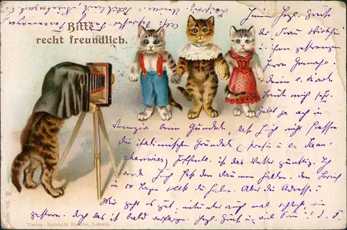 Tiere als Menschen (Künstlerkarten) Andromorphische Karten Katzen 1902