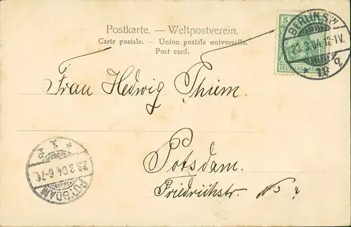 Berlin Einsame See od. Teichstelle  Ruderboot 1904    Potsdam Ankunftsstempel