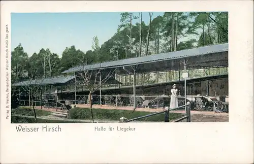 Ansichtskarte Weißer Hirsch-Dresden Kurhauspark mit Halle für Liegekur 1900