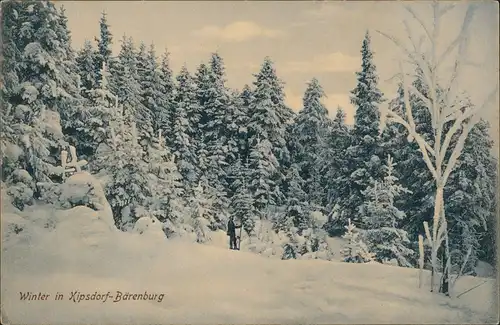 Bärenburg-Altenberg (Erzgebirge)  verschneiter Wald, 1 Wanderer unterwegs 1910