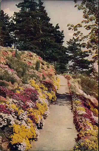 Loschwitz-Dresden Naturfarbenfotografie  Schloss Eckberg Steingarten 1930