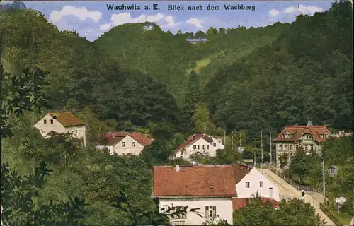 Ansichtskarte Wachwitz-Dresden Panorama-Ansicht Blick nach dem Wachberg 1918
