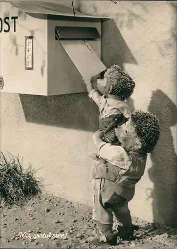 Mecki Vater & Kind am Briefkasten "Wir gratulieren" (Diehl-Film) 1960