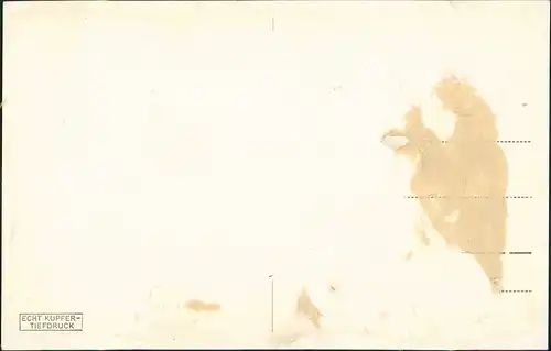 Postcard Danzig Gdańsk/Gduńsk Totalansicht 1931