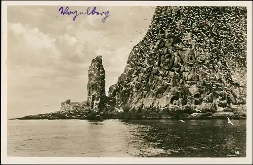 Postcard Norwegen Allgemein Norge Fuglebjerg - Vogelberg 1940