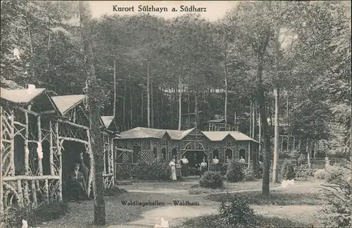 Ansichtskarte Sülzhayn-Ellrich Waldliegehallen Partie am Waldhaus 1910