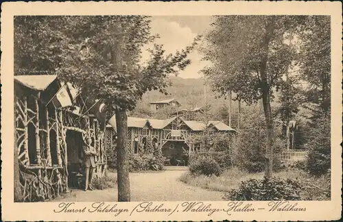 Sülzhayn-Ellrich Partie am Waldhaus Waldliege-Hallen, Max Stieger Verlag 1910