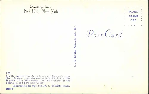 Pine Hill (NY) Landscape and fisherman's paradise, Umland-Ansicht USA 1970