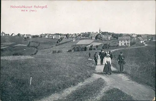 Ansichtskarte Hohegeiß-Braunlage Panorama-Ansicht mit Personen auf Weg 1909
