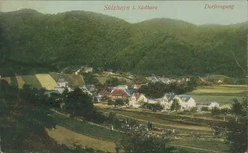 Ansichtskarte Sülzhayn-Ellrich Dorfeingang Panorama 1910