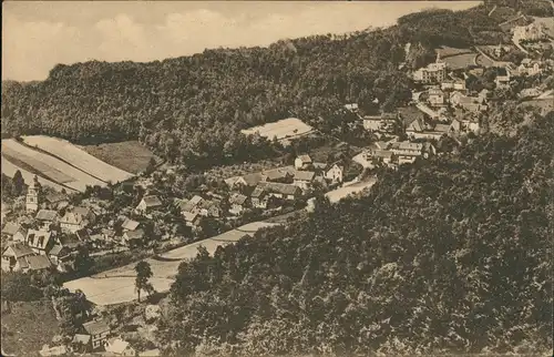 Ansichtskarte Sülzhayn-Ellrich Stadtblick 1914