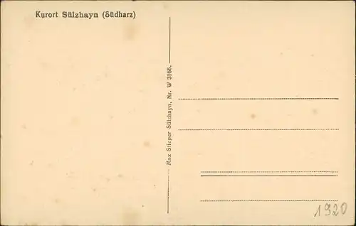 Ansichtskarte Sülzhayn-Ellrich Stadtblick 1914