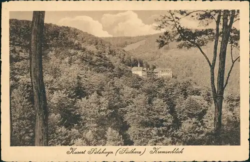 Ansichtskarte Sülzhayn-Ellrich Panorama-Ansicht, Kurort Sülzhayn 1920