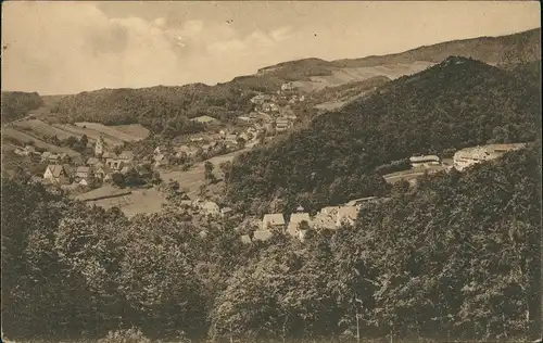Ansichtskarte Sülzhayn-Ellrich Panorama, Ansicht, Berg 1920