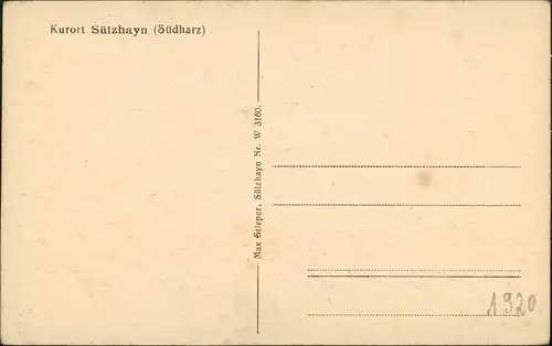 Ansichtskarte Sülzhayn-Ellrich Panorama, Ansicht, Berg 1920