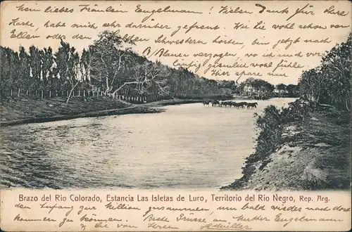 Argentinen .Argentina Rio Colorado, Estancia Las Isletas de Luro Rio Negro 1907