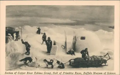 Buffalo Copper River Eskimo Group, Hall of Primitive Races,  USA Museum 1933
