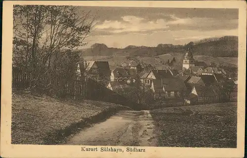 Ansichtskarte Sülzhayn-Ellrich Weg zur Stadt 1923