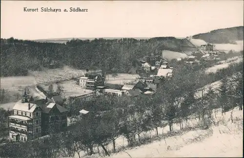 Ansichtskarte Sülzhayn-Ellrich Blick auf Hotels und Stadt 1912
