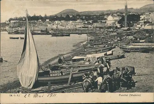 Postcard Funchal Hafenpartie Stadt gel. Rolldstempel 1911
