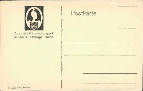 Wilsede-Bispingen Heidemuseum Wohnstube Inneneinrichtung Zimmer 1930