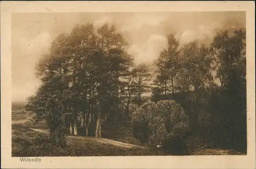 Wilsede-Bispingen Umland-Ansicht Blick in die Natur der Umgebung 1925