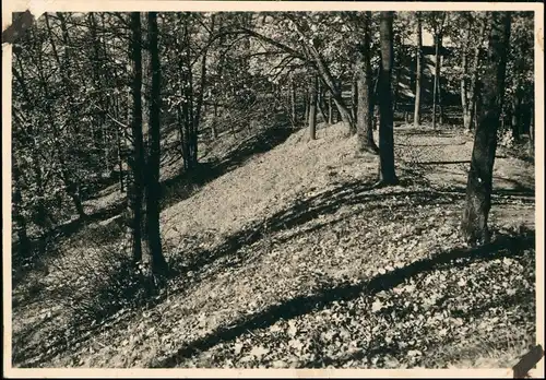 Danzig Gdańsk/Gduńsk Waldpartie, Oberhofgebäude 1926 Privatfoto Foto