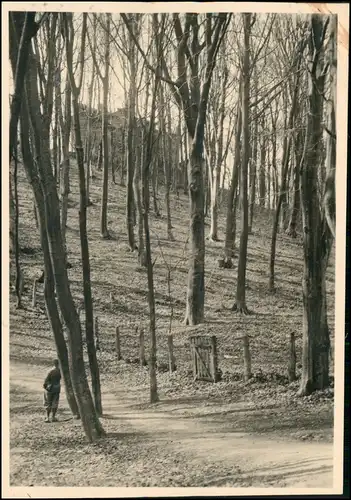 Danzig Gdańsk/Gduńsk Soldat an der Dt. polnischen Grenze 1927 Privatfoto Foto