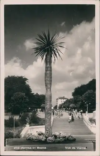 Postcard Warna Варна Straße - Treppe 1960