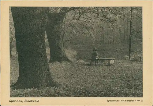 Spandau-Berlin Stadtwald Heimatbild Nr. 11 Spandauer Volksblatt (  1958